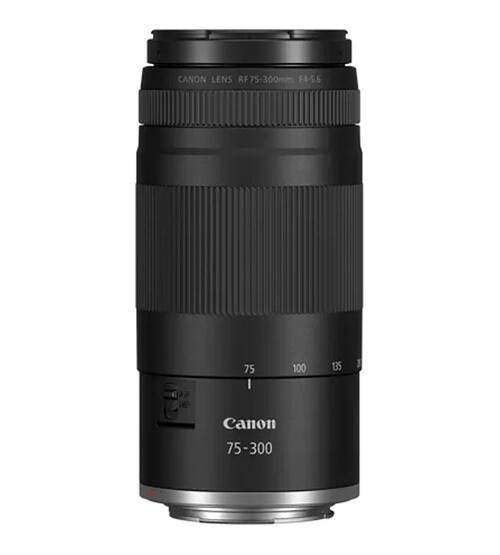 Canon RF 75-300mm f/4-5.6 Lens